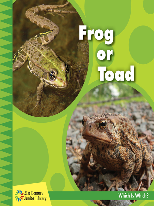 Cover image for Frog or Toad